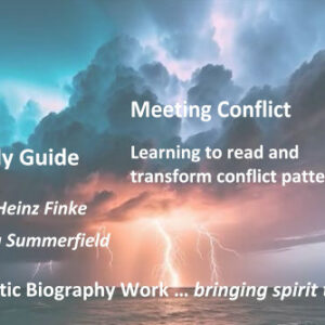 BGO-40 CON Meeting Conflict - Holistic Biography Work - Front Page