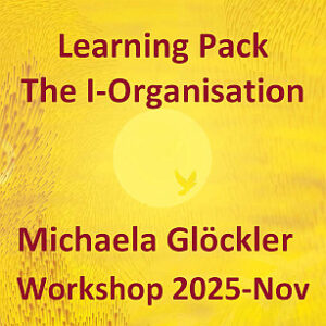 Learning Pack - The I-Organisation